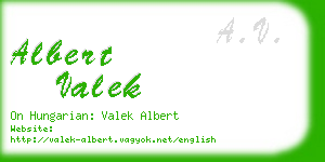 albert valek business card